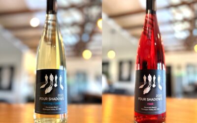 Sip into the New Year: January New Wine Releases